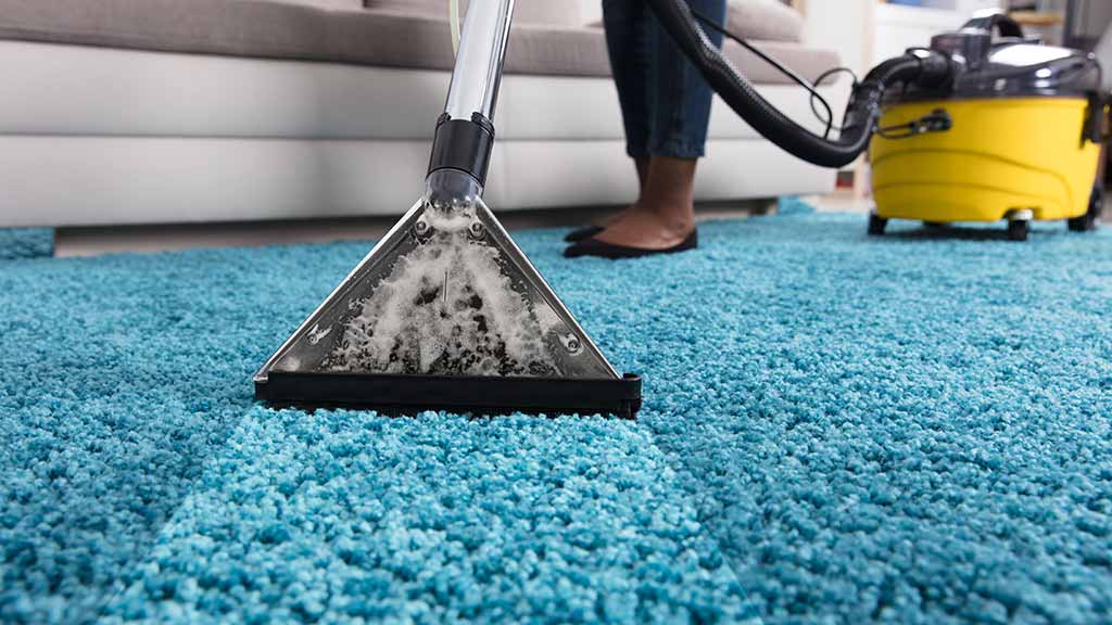 Professional carpet cleaning service