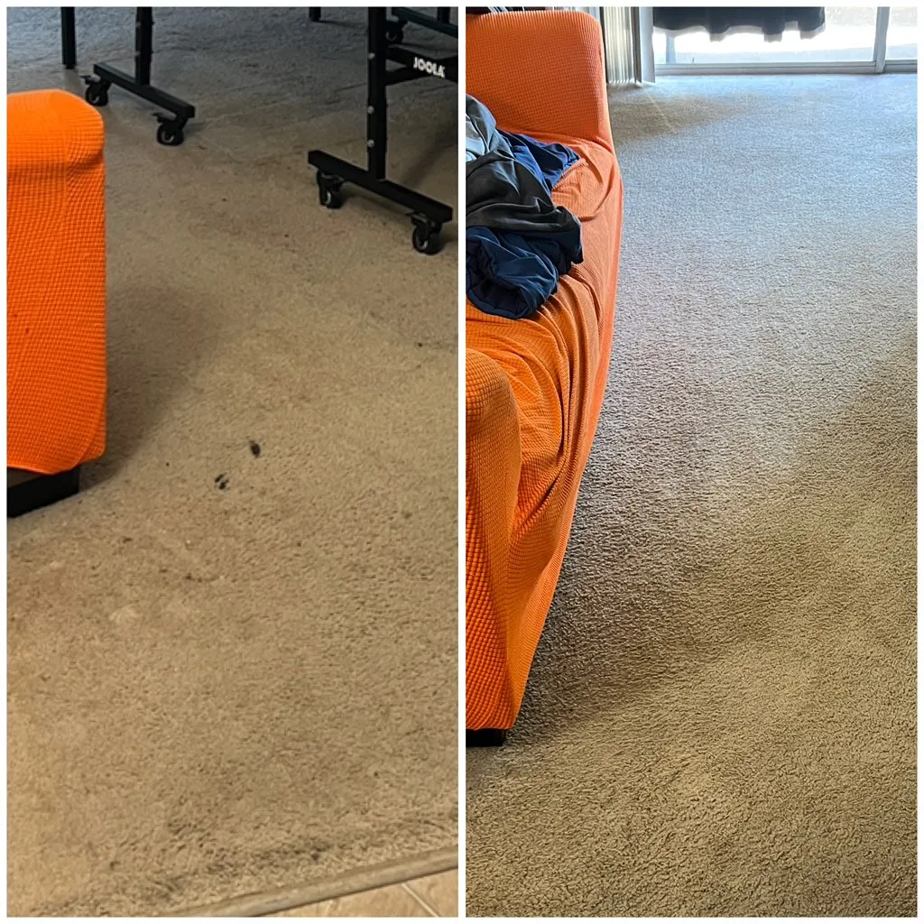 Professional carpet cleaning results