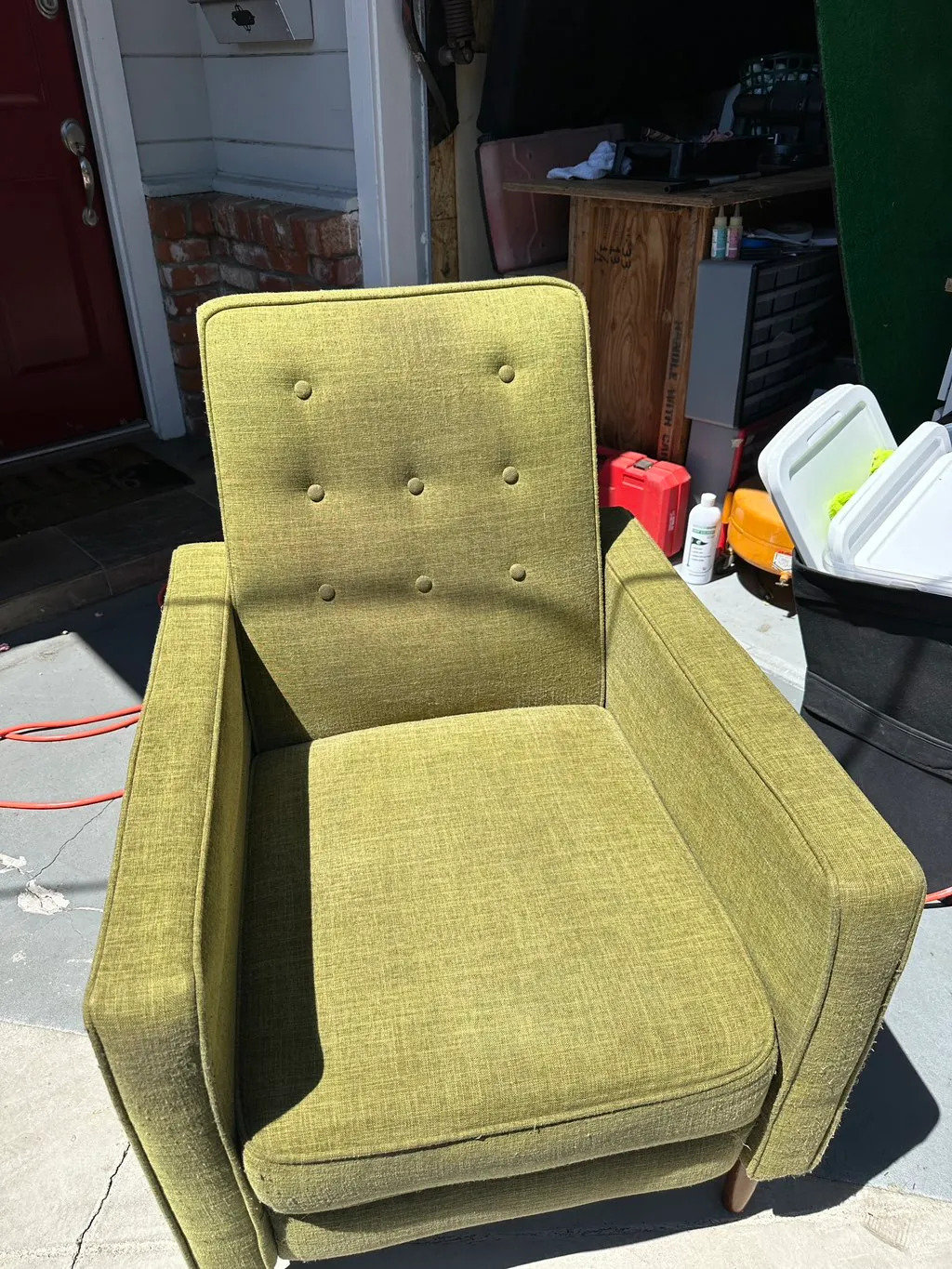 Professional carpet cleaning results