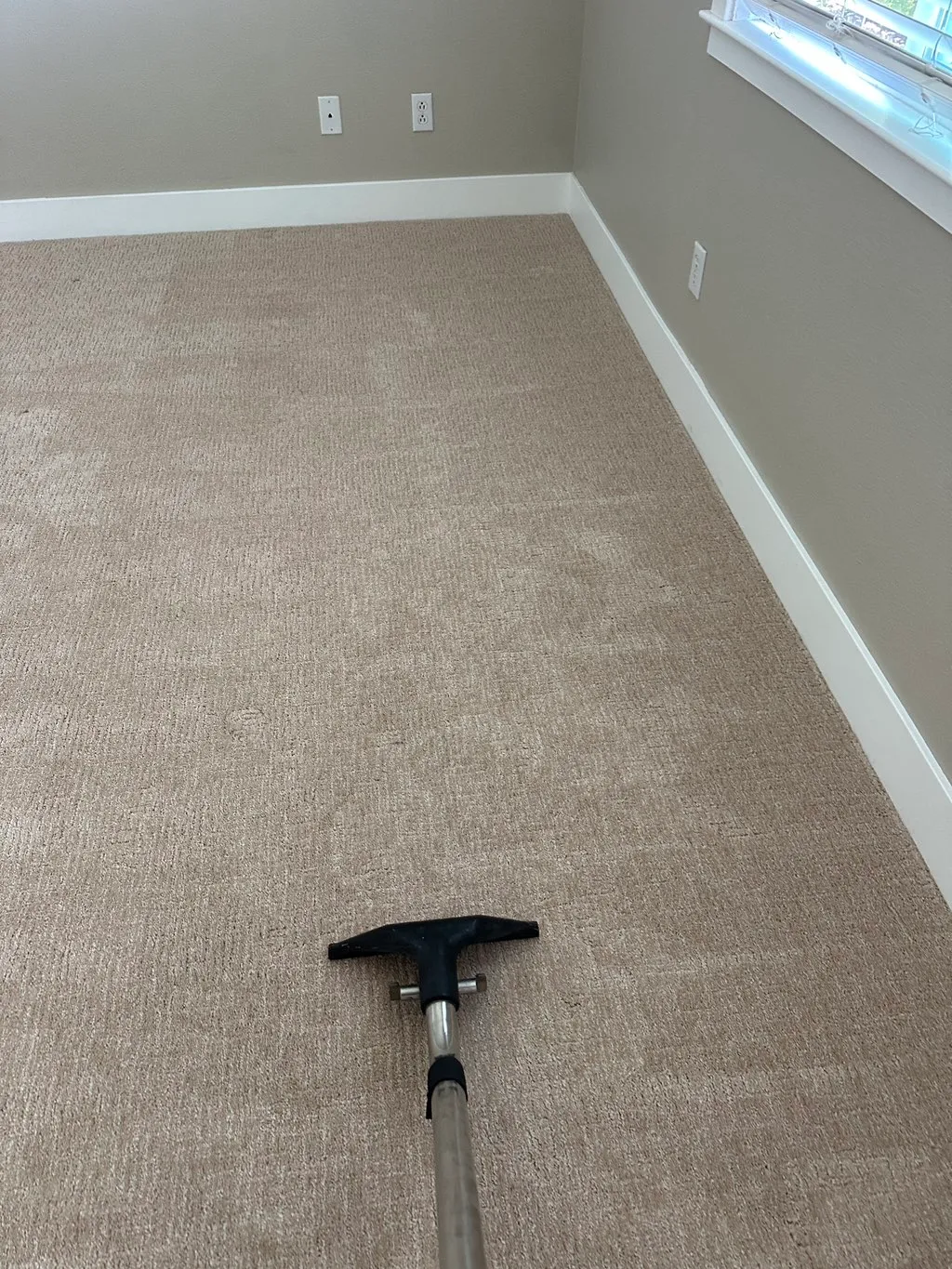 Professional carpet cleaning results