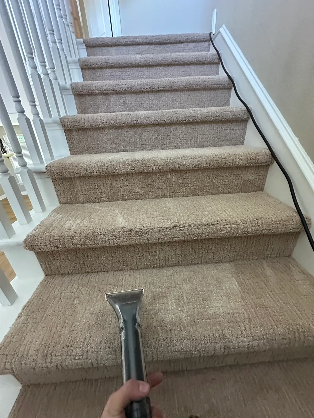 Professional carpet cleaning results