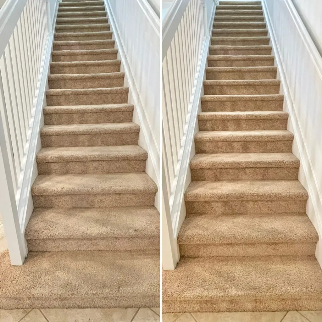 Professional carpet cleaning results