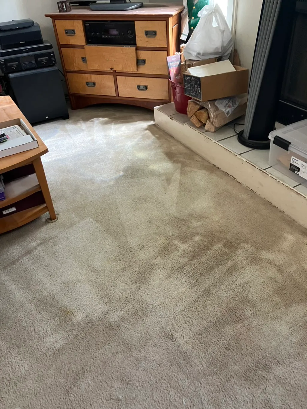 Professional carpet cleaning results