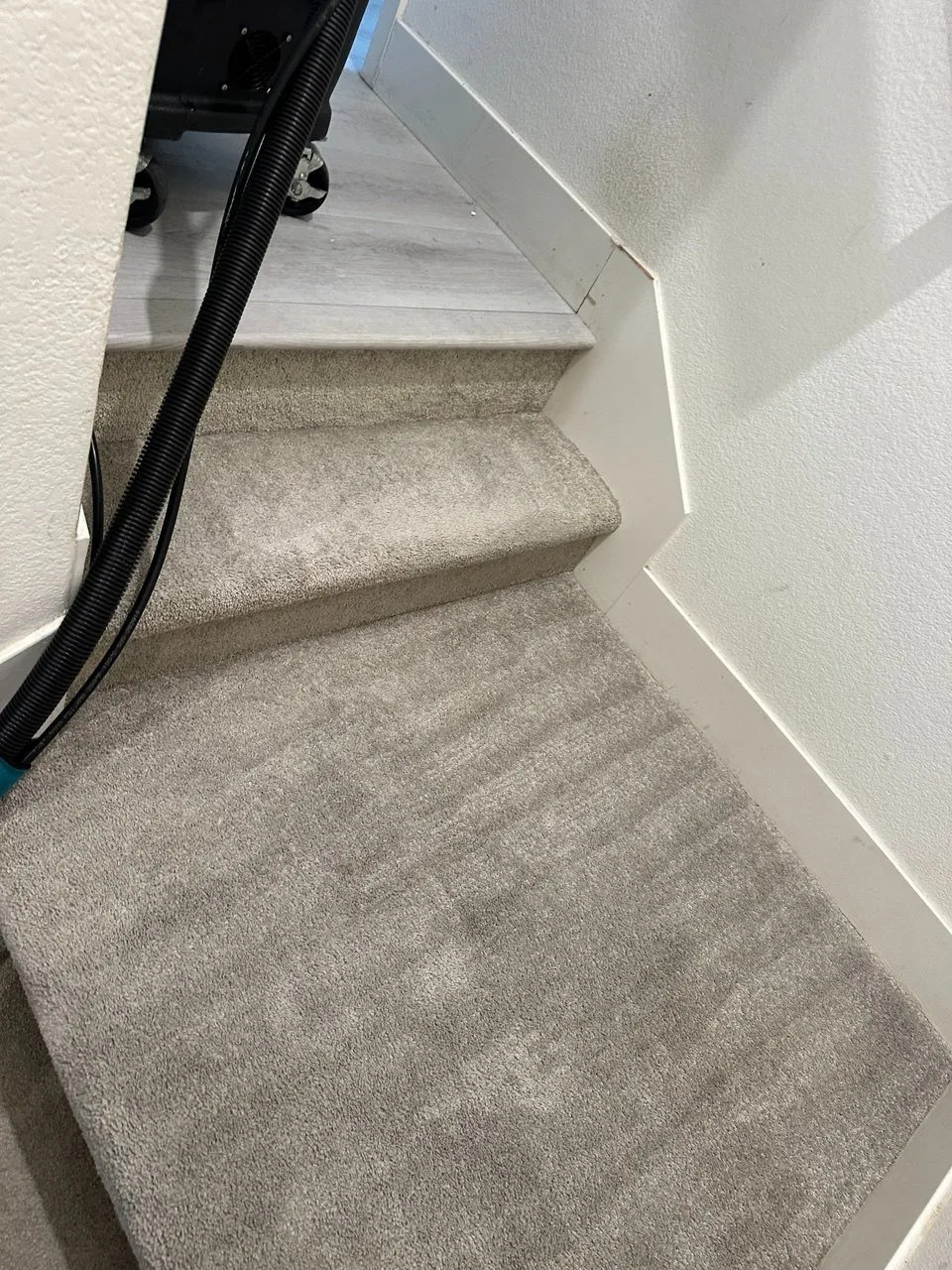 Professional carpet cleaning results