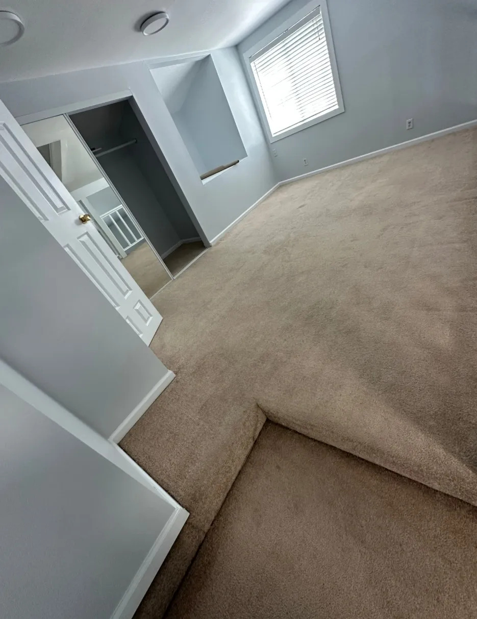 Professional carpet cleaning results