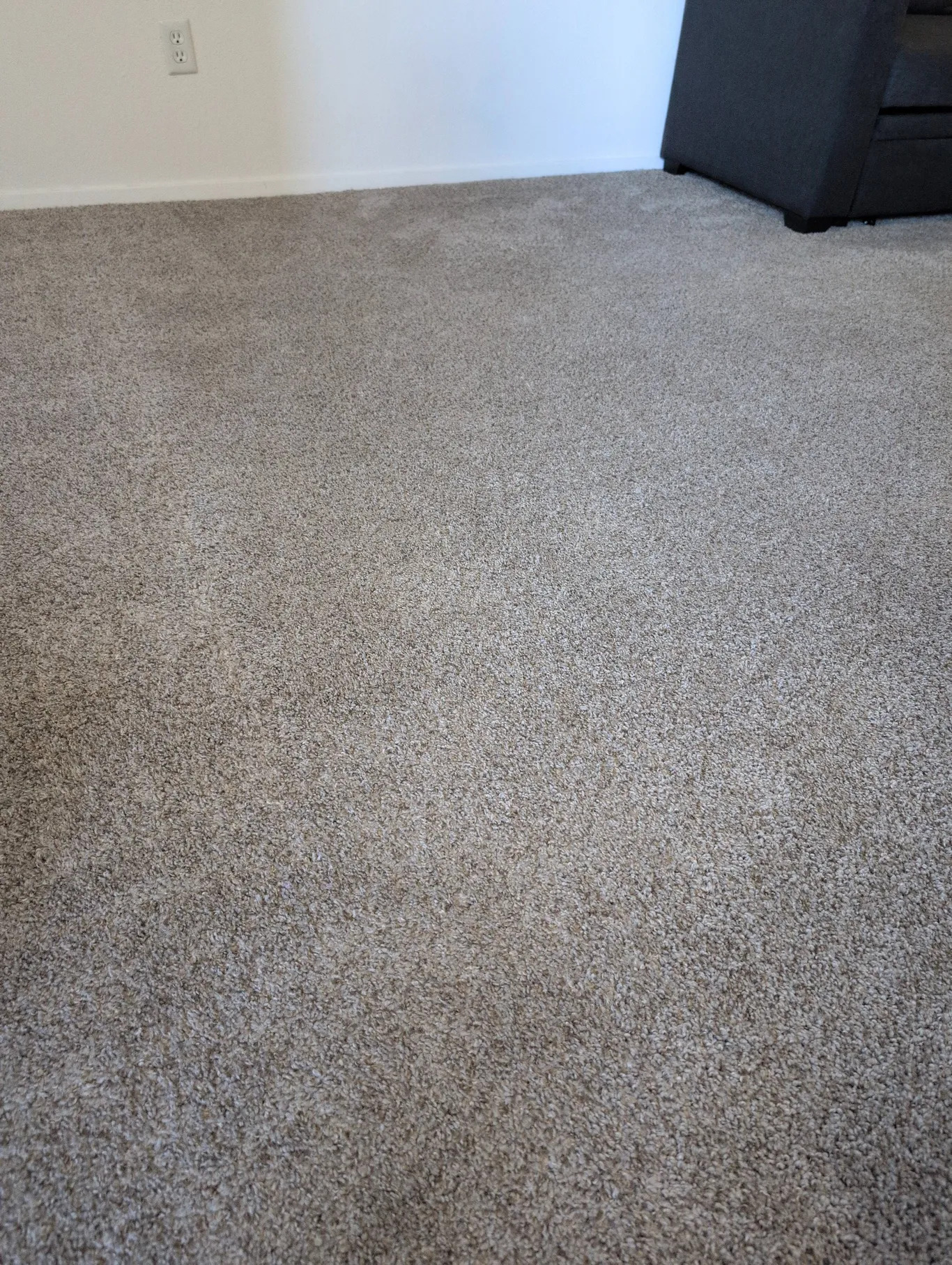 Professional carpet cleaning results