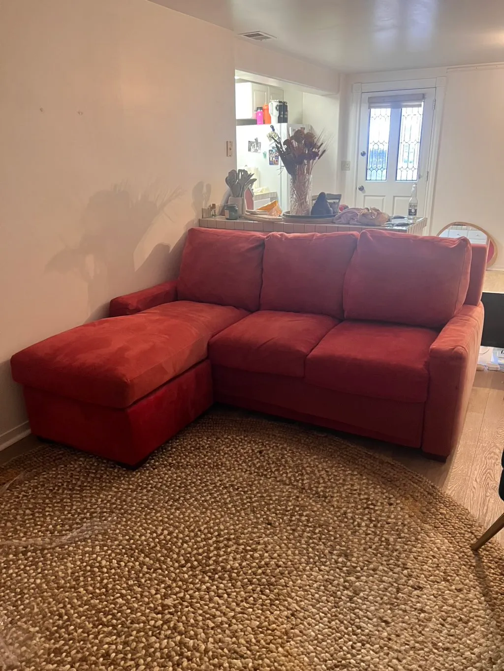 Professional carpet cleaning results