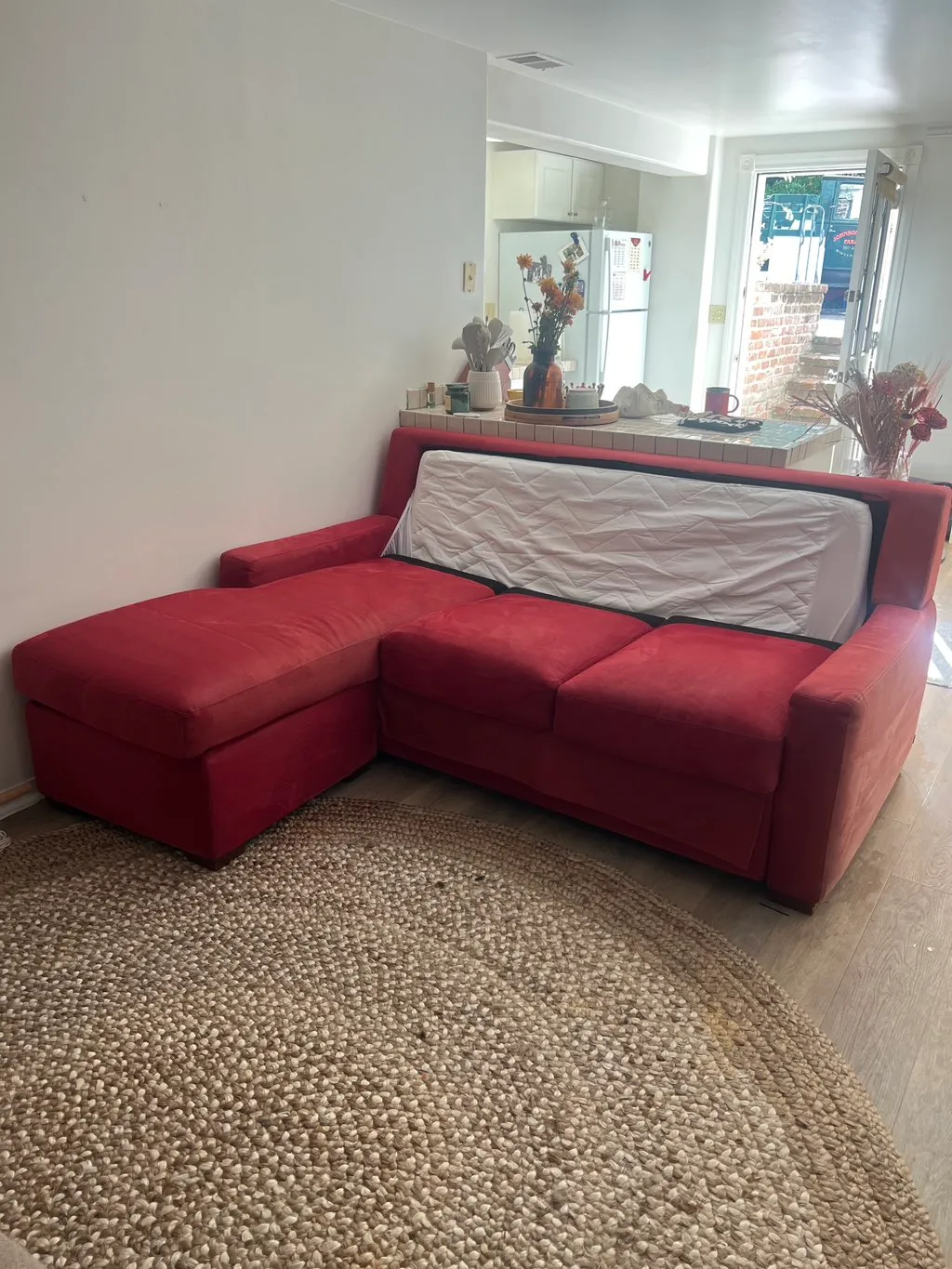 Professional carpet cleaning results