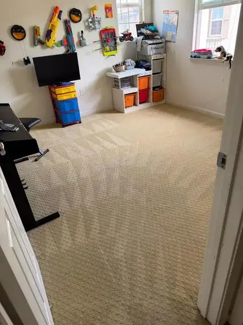 Professional carpet cleaning results