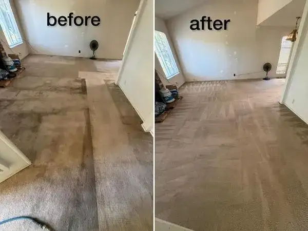 Professional carpet cleaning results