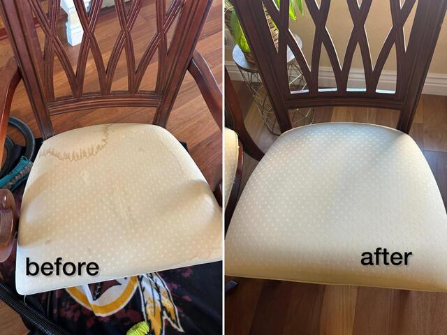 Professional carpet cleaning results