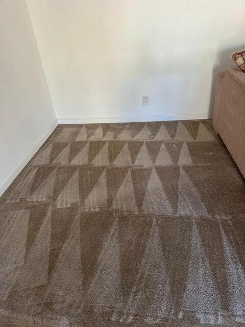 Professional carpet cleaning results
