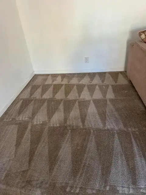 Professional carpet cleaning results