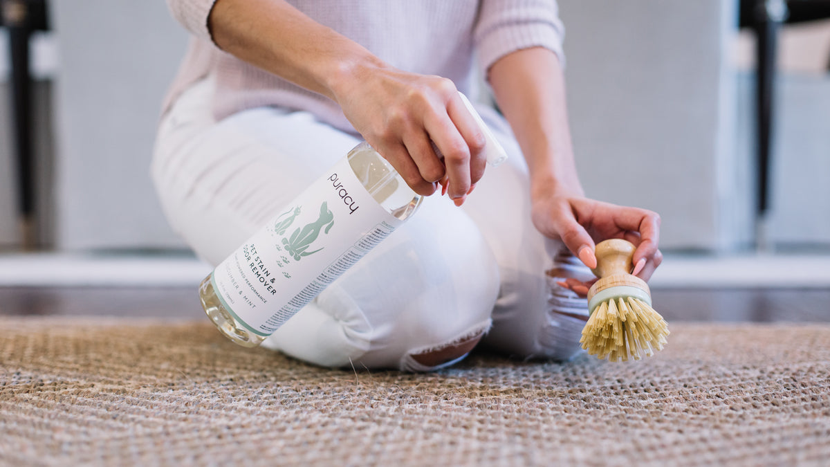 Pet stain removal service San Jose