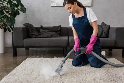 Area rug cleaning service